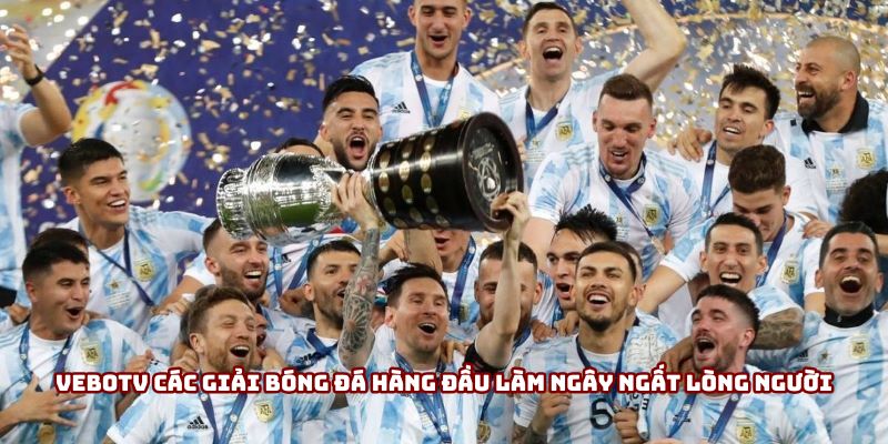 VeboTV các giải bóng đá hàng đầu làm ngây ngất lòng người