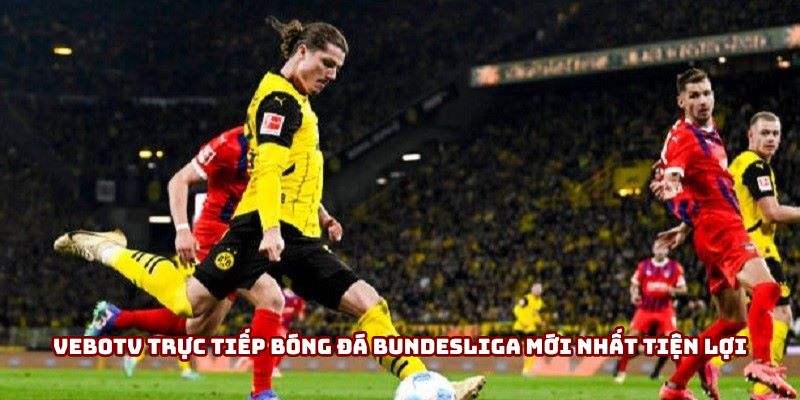 Vebotv trực tiếp bóng đá Bundesliga mới nhất tiện lợi Vebotv trực tiếp bóng đá Bundesliga mới nhất tiện lợi