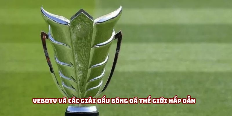 Vebotv và các giải đấu bóng đá thế giới hấp dẫn Vebotv và các giải đấu bóng đá thế giới hấp dẫn